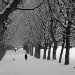 Hyde Park 050110